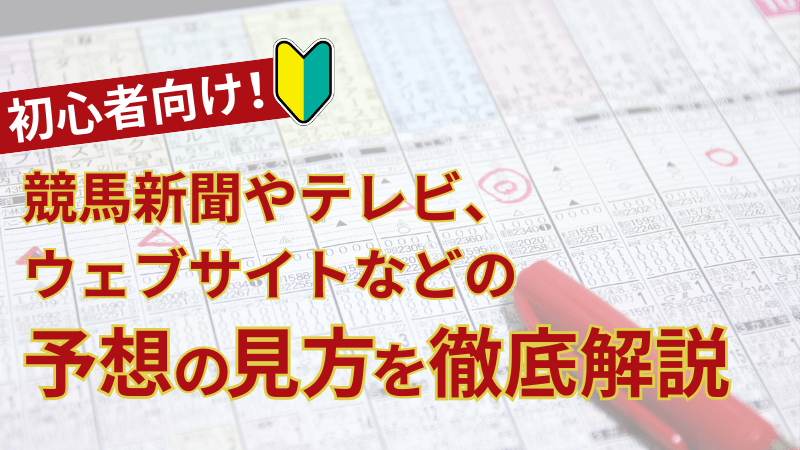 初心者向け！競馬新聞やテレビ、ウェブサイトなどの予想の見方を徹底解説